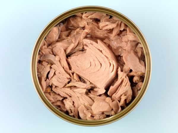 depositphotos_3044903-stock-photo-canned-tuna
